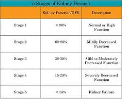 stages chronic kidney disease chart kidney disease stages