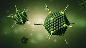 What makes adenoviruses great viral vectors? Adenovirus Antigeno Controllab