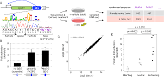 Starr treatment, one of the newest procedures in bariatric surgery, is a technique that provides enhancement to both the gastric sleeve and gastric band procedures. Plos Genetics Synthetic Starr Seq Reveals How Dna Shape And Sequence Modulate Transcriptional Output And Noise