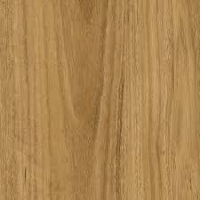 Image result for Eucalyptus saligna