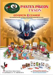 Http Www Tysonturkiye Com Resmi Web Pantex Pigeon Tyson Kus Ilaclari Facebook
