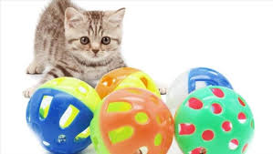 2018 De Evcil Hayvan Urunlerinde En Cok Kedi Mamasi Satildi