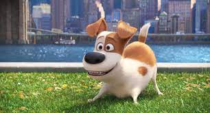 The Secret Life of Pets is fun, but it's not clever