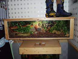 Corn Snake Viv Pics Corn Snake Snake Tank Snake Cages