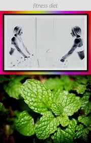 Fitness Diet 176 20190525121946 52 Climb To Fitness Honolulu Anytime Fitness Dashboard Club Hub App For Fitness Art Anytime Fitness Mens Workout Clothes