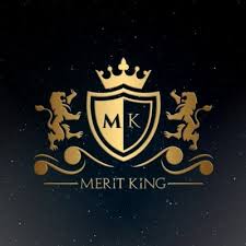 Meritking Platform Görseli