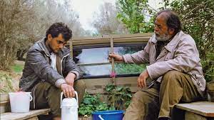 Check spelling or type a new query. Kiarostami S Through The Olive Trees And Smashing The Fourth Wall