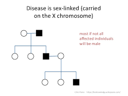 Idiots Guide To Analysing Pedigree Charts