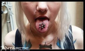 I would definitely suggest venom ink to anyone looking to make a good investment. Antarctic Body Piercing Double Venom Piercing Triple Tongue