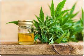 CBD Oil: Health Benefits and Risks