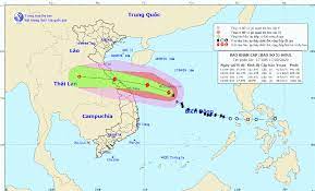 Một số người cho rằng đây là con hải sâm nên đổ xô ra bờ biển nhặt về phơi khô để làm vị thuốc. Bao Sá»' 5 Giáº£m Cáº¥p TrÆ°á»›c Khi Ä'á»• Bá»™ NhÆ°ng Váº«n Ráº¥t Máº¡nh Thá»i Sá»± Plo