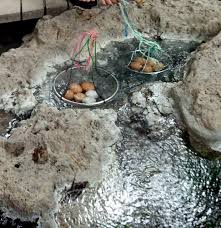 Kolam air panas sungai beungga, tangse. Sungkai Hot Spring Phone Number