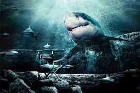 We did not find results for: 120 Sharks Wallpaper Top 48 Quality Cool Sharks Picture Android Iphone Hd Wallpaper Background Download Png Jpg 2021