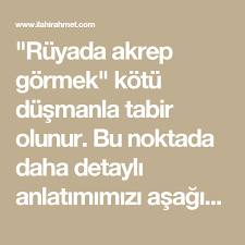 Ruyada Akrep Gormek Ne Anlama Gelir Anlami Nedir Akrep Ruya Isaretler