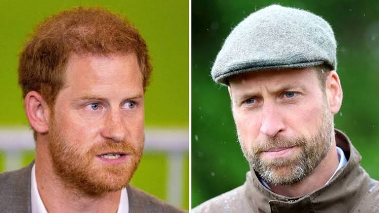 Prince Harry and Prince William's 'Profound' Rift Won't End Until One  'Apologizes': Royal Author