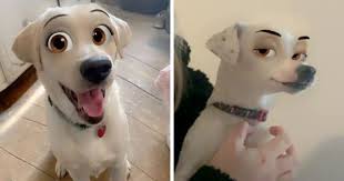 Test your disney knowledge or simply discover your inner elsa. This New Snapchat Filter Makes Your Dog Look Like A Disney Character And Here Are 30 Of The Best Results Bored Panda