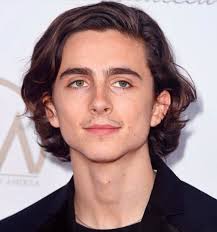 If Your Mustache Looks Like Pubes Shave It Off My Dudes Timothee Chalamet Hot Actors Beautiful Boys