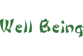A contented state of being happy and healthy and prosperous; Well Being 2 Koln Vietnamesisch Vegetarisch Vegan Lieferservice Lieferando De