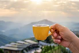 Programul zilei de joi de la cupa mondiala! 180 Cele Mai Noi È™i Pozitive Mesaje De BunÄƒ DimineaÈ›a La Cafea