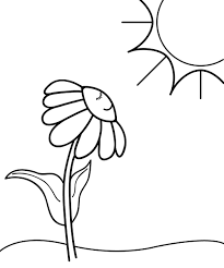 Clip Art Flower Sunflower Coloring Page Abcteach Sunflower Coloring Pages Flower Coloring Pages Easy Coloring Pages