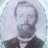 Friebert August Wilhelm Schulz (1862–1952)