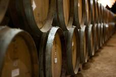 Auction Napa Valley Wine Barrel Tasting