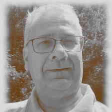 Hi all, I am looking for a mechanic who specializes in school buses.  specifically i am hoping they can help me with what seems like a faulty  instrument cluster or a bad