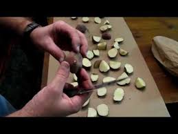 However, potatoes are prolific growers and usually adapt to poor soil and. Cutting Potatoes Getting Ready To Plant Youtube