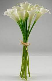 Use as a shady border or in seasonal pots. Calla Lily Bouquet Natural Touch 14 Tall Save On Crafts