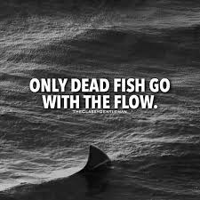 Only Dead Fish Go With The Flow Nelson Millardspeaks Flow Quotes Network Marketing Quotes Dead Fish