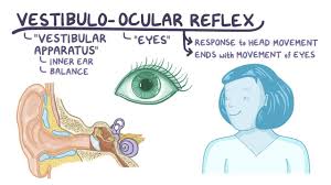 Image result for Oculovestibular Testing