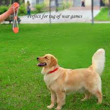 Dog Games Interactive Dog Toys Dog Games Dog Toys