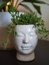 Funky-looking cactus wins prize for women crazy about houseplants