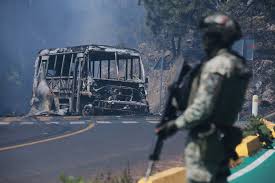 Man whose slain brother led Mexican cartel pleads guilty to drug charges in US