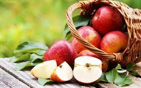 Kulturapfel, die frucht der art malus domestica, siehe auch liste von apfelsorten. Wissenswertes Apfel Land Schafft Leben