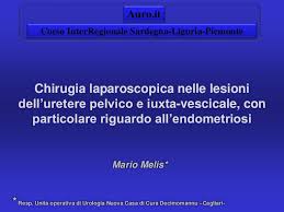 Più nei dettagli, parlano di. Endometriosi In Urologia Reimpianto Ureterale Laparoscopico