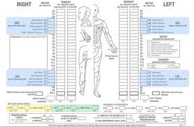 American Spinal Cord Injury Association Asia Impairment