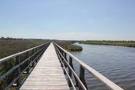 It is surrounded by moorland, partially overgrown with reeds. Federsee Steg In Bad Buchau Oberschwabens Sehenswurdigkeiten