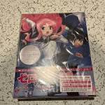 ゼロの使い魔 双月の騎士