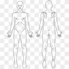 Illustrative image of a human body showing the lumbar part of the vertebrae which present pain and inflammation. Excelent Black Tshirt Front And Back Transparent Family Reunion Shirt Design Front And Back Hd Png Download 1000x489 2392800 Pngfind