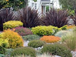 If you live in a place that doesn't get a lot of rainfall, you may want to consider a drought tolerant front yard without grass, to keep your own maintenance costs low. Create A Beautiful Drought Resistant Front Yard Sonoma Magazine