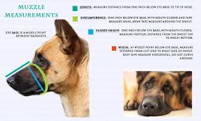 Loosely measure the neck where the collar would normally sit sliding two fingers between the dog's neck and measuring tape. How To Measure A Dog For A Harness Muzzle Collar Dean Tyler