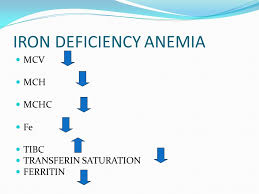 Anämien (congenital dyserythropoetic anaemias, cda); Parameter Penting Hb F 12 1 15 1 M 3 Gm Dl 12 18 G Dl Mean Corpuscular Volume Mcv N Fl Mean Corpuscular Hemoglobin Concentration Ppt Download