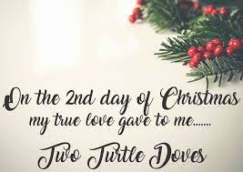 On the 2nd day of christmas is absolute torture. On The Second Day Of Christmas My True Love Gave To Me Two Turtle Doves Some Spectrum Noir Sparkle Be Creative Daily
