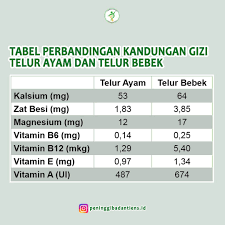Dikutip dari berbagai sumber, telur bebek mengandung jumlah nutrisi yang lebih banyak daripada telur ayam, seperti protein, lemak sehat, dan vitamin d. Telur Mengandung Banyak Gizi Yang Dibutuhkan Tubuh Akan Tetapi Apa Kalian Tahu Perbedaan Kandungan Gizi Antara Telur Ayam Dan Telur Bebek Geser Gambar Diatas Ya Agar Kamu Tahu Perbedaan Kandungan Gizi Antara