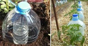 20 Reutilisations Intelligentes Des Bouteilles En Plastique Video Conseils De Survie Pour Tous Irrigation Systeme D Irrigation Jardinage Palette
