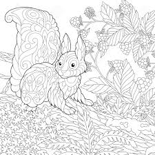 Use these images to quickly print coloring pages. Coloring Page Coloring Picture Of Cute Squirrel In The Forest Royalty Free Cliparts Vectors And Stock Illustration Image 133791835