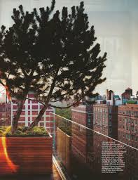 Terrace With Clear Edge David Kelly Garden Styles David Kelly Garden