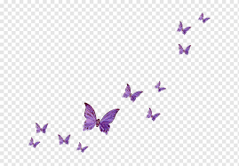 The image is transparent png format with a resolution of 8000x6853 pixels, suitable for design use and personal projects. Purple Butterflies Illustration Fly Butterfly Butterfly Purple Floating Violet Png Pngwing