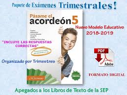Guía de apoyo para quinto grado resuelta para el maestro. Examen Montenegro 6 Grado 2019